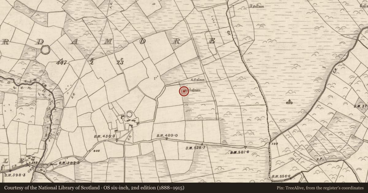 Ordnance Survey six-inch map, 2nd edition (1888–1915) covering the location of Stone row, Arda Mór (TC Cinn Aird), County Kerry, with a pin at the register's coordinates