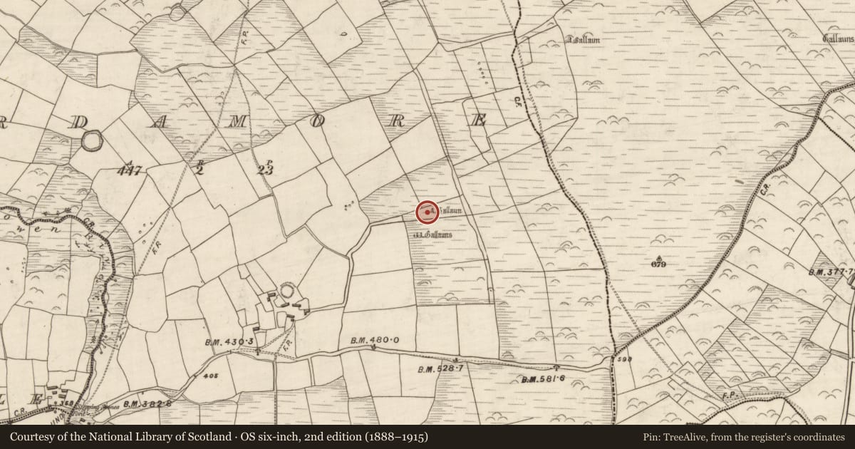 Ordnance Survey six-inch map, 2nd edition (1888–1915) covering the location of Standing stone, Arda Mór (TC Cinn Aird), County Kerry, with a pin at the register's coordinates