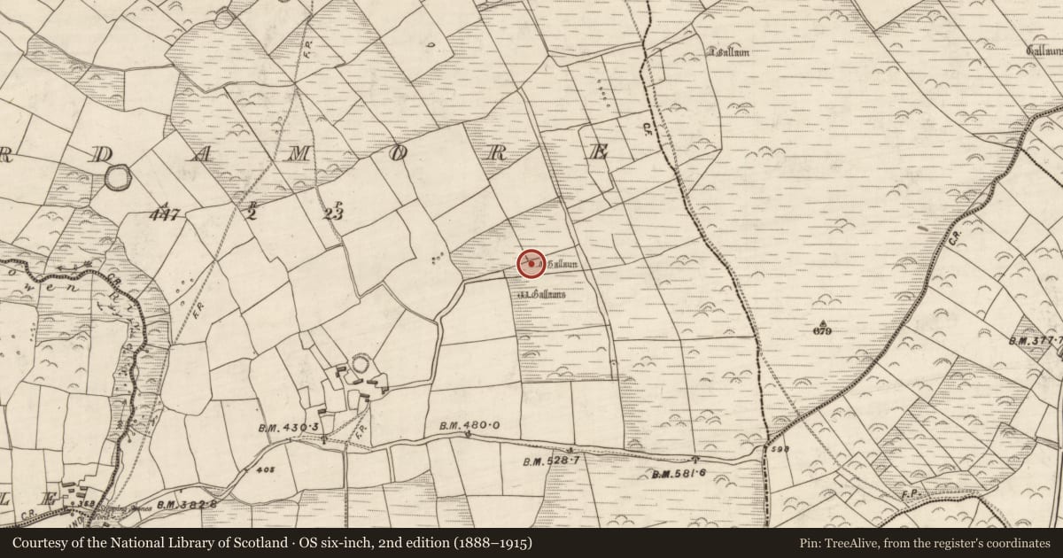 Ordnance Survey six-inch map, 2nd edition (1888–1915) covering the location of Boulder-burial, Arda Mór (TC Cinn Aird), County Kerry, with a pin at the register's coordinates