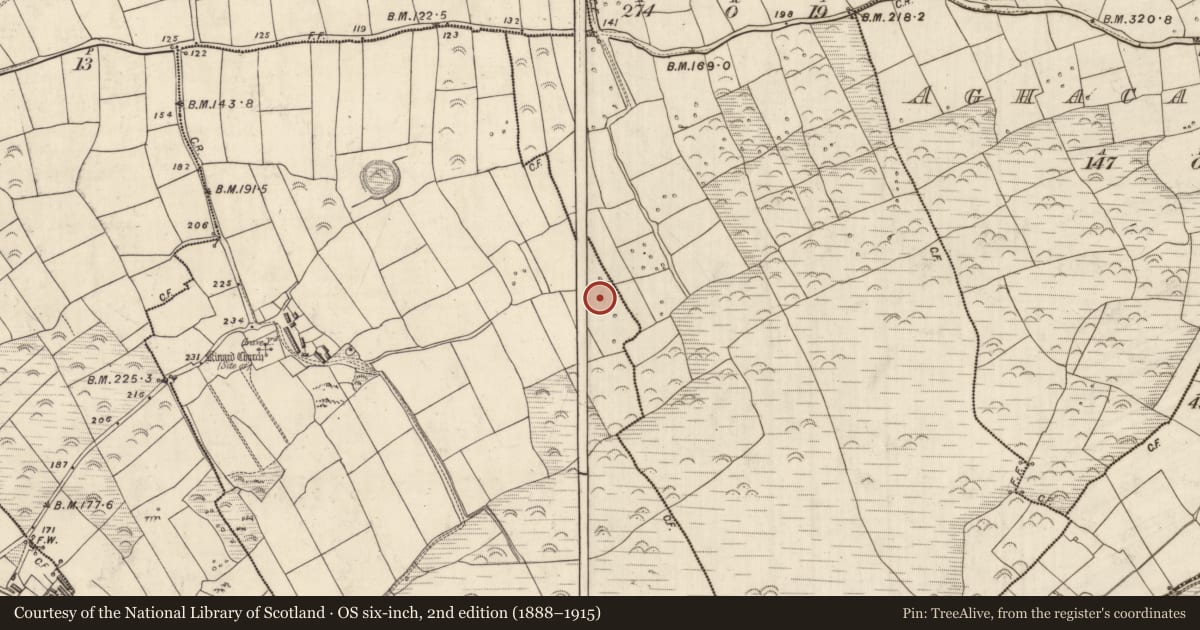 Ordnance Survey six-inch map, 2nd edition (1888–1915) covering the location of Standing stone, Cinn Aird Thoir (TC Cinn Aird), County Kerry, with a pin at the register's coordinates