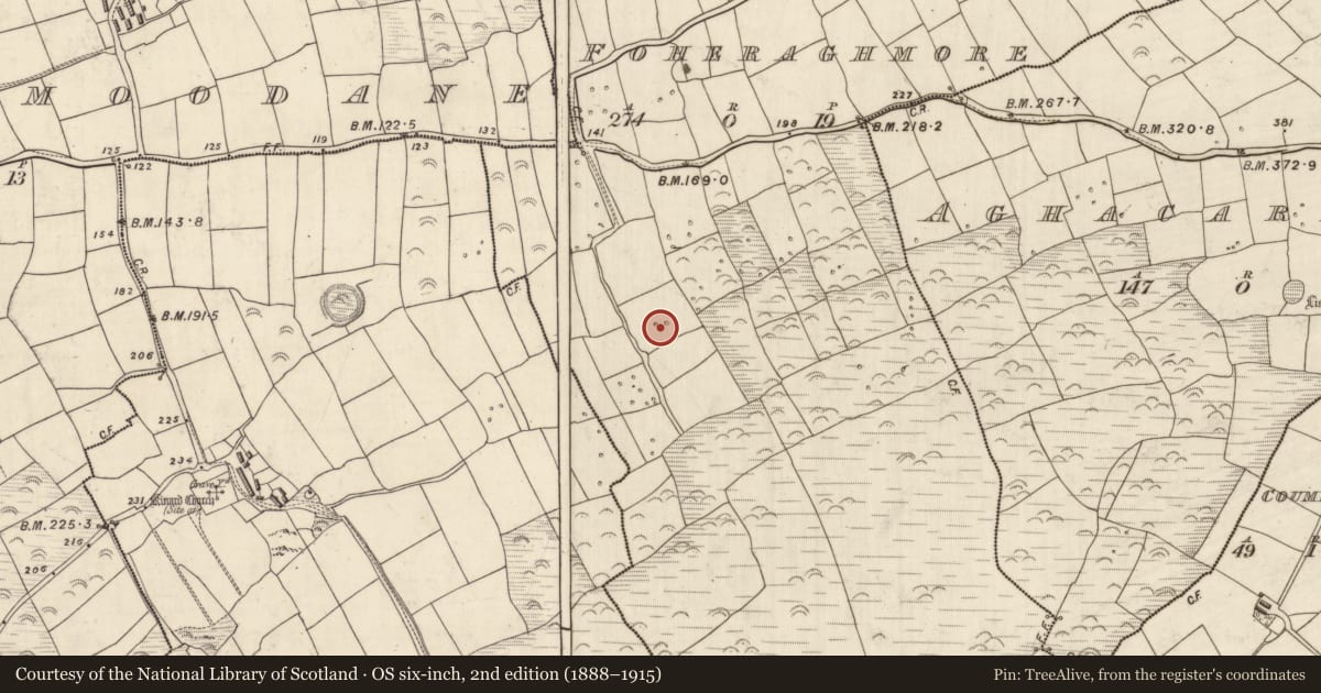 Ordnance Survey six-inch map, 2nd edition (1888–1915) covering the location of Souterrain, An Fhothrach Mhór, County Kerry, with a pin at the register's coordinates