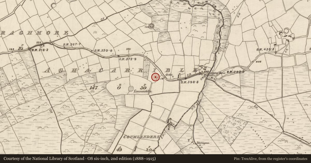 Ordnance Survey six-inch map, 2nd edition (1888–1915) covering the location of Rock art, Áth An Charbaill, County Kerry, with a pin at the register's coordinates