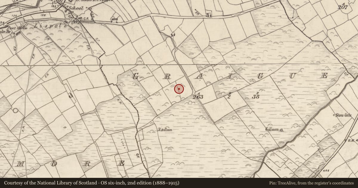 Ordnance Survey six-inch map, 2nd edition (1888–1915) covering the location of Ringfort - rath, An Gráig (TC An Mhín Aird), County Kerry, with a pin at the register's coordinates