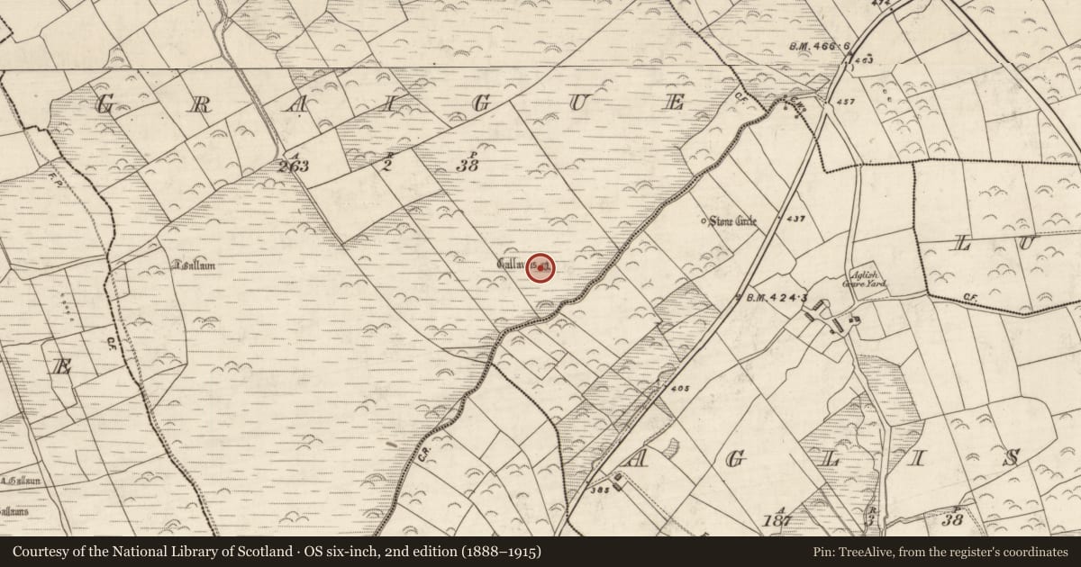 Ordnance Survey six-inch map, 2nd edition (1888–1915) covering the location of Standing stone, An Gráig (TC An Mhín Aird), County Kerry, with a pin at the register's coordinates