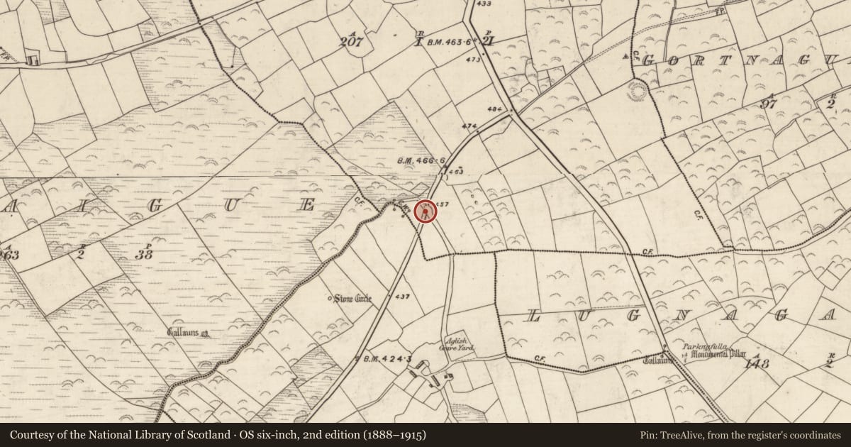 Ordnance Survey six-inch map, 2nd edition (1888–1915) covering the location of Church, Garraí Na Dtor, County Kerry, with a pin at the register's coordinates
