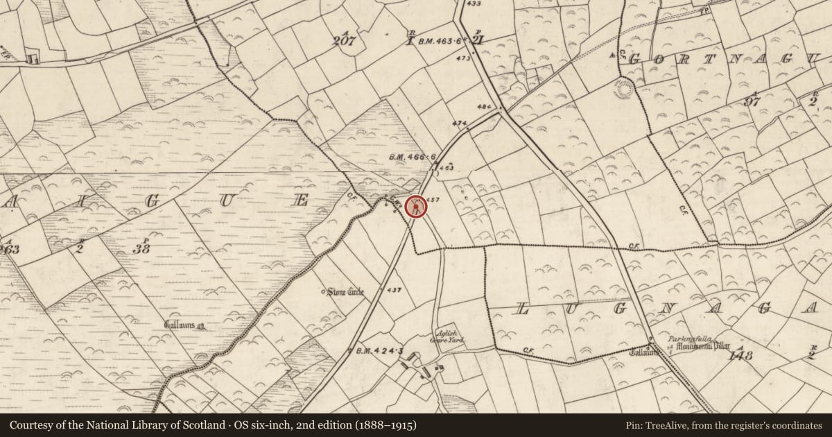 Ordnance Survey six-inch map, 2nd edition (1888–1915) covering the location of Graveyard, Garraí Na Dtor, County Kerry, with a pin at the register's coordinates