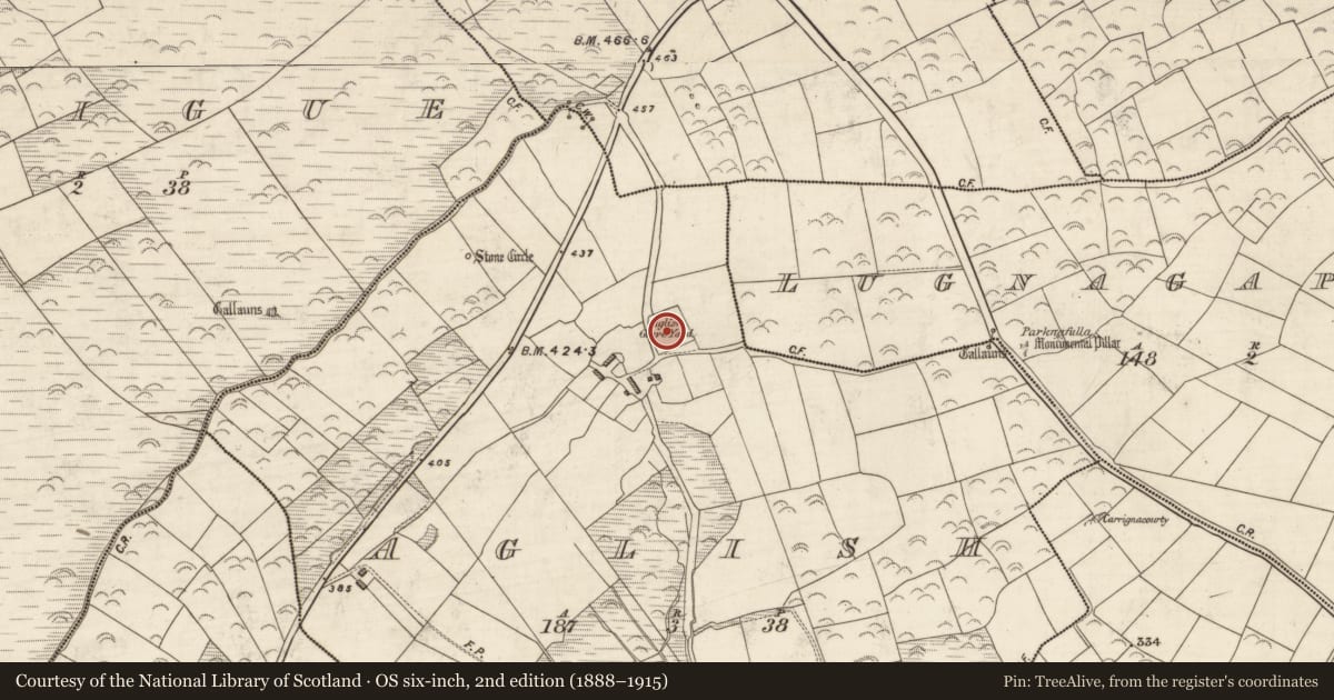 Ordnance Survey six-inch map, 2nd edition (1888–1915) covering the location of Church, An Eaglais (Corca Dhuibhne), County Kerry, with a pin at the register's coordinates
