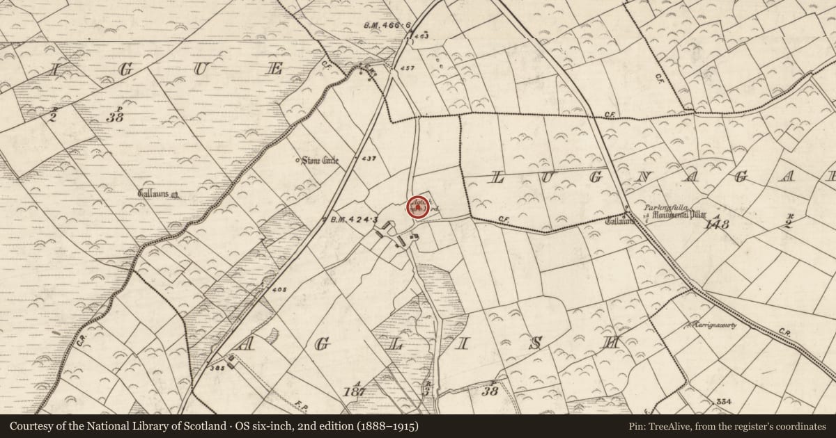 Ordnance Survey six-inch map, 2nd edition (1888–1915) covering the location of Ogham stone, An Eaglais (Corca Dhuibhne), County Kerry, with a pin at the register's coordinates