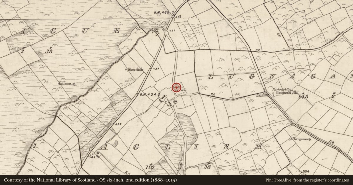 Ordnance Survey six-inch map, 2nd edition (1888–1915) covering the location of Cross-inscribed stone, An Eaglais (Corca Dhuibhne), County Kerry, with a pin at the register's coordinates