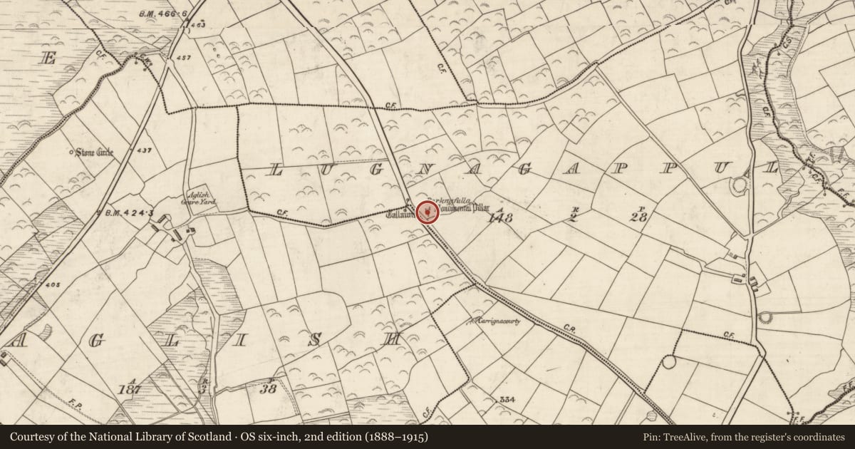 Ordnance Survey six-inch map, 2nd edition (1888–1915) covering the location of Burial, Log Na Gcapall, County Kerry, with a pin at the register's coordinates