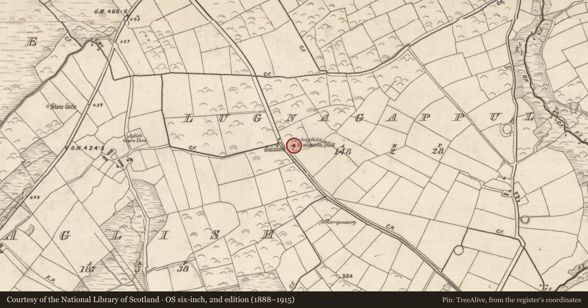 Ordnance Survey six-inch map, 2nd edition (1888–1915) covering the location of Ogham stone, Log Na Gcapall, County Kerry, with a pin at the register's coordinates