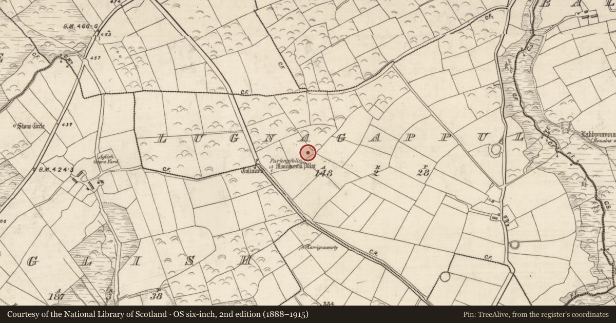 Ordnance Survey six-inch map, 2nd edition (1888–1915) covering the location of Souterrain, Log Na Gcapall, County Kerry, with a pin at the register's coordinates