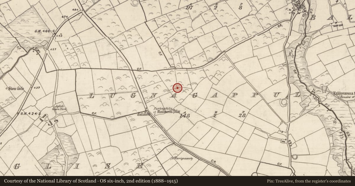 Ordnance Survey six-inch map, 2nd edition (1888–1915) covering the location of Hut site, Log Na Gcapall, County Kerry, with a pin at the register's coordinates