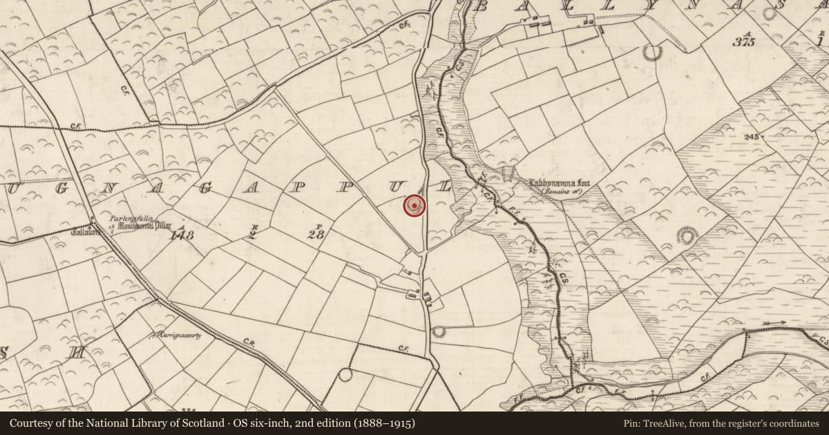 Ordnance Survey six-inch map, 2nd edition (1888–1915) covering the location of Ringfort - rath, Log Na Gcapall, County Kerry, with a pin at the register's coordinates