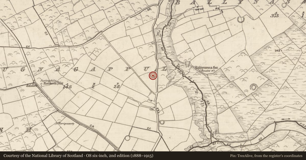 Ordnance Survey six-inch map, 2nd edition (1888–1915) covering the location of Hut site, Log Na Gcapall, County Kerry, with a pin at the register's coordinates