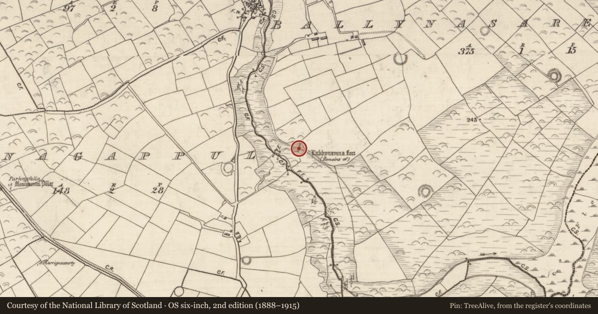 Ordnance Survey six-inch map, 2nd edition (1888–1915) covering the location of Ringfort - rath, Baile Na Saor Íochtarach, County Kerry, with a pin at the register's coordinates