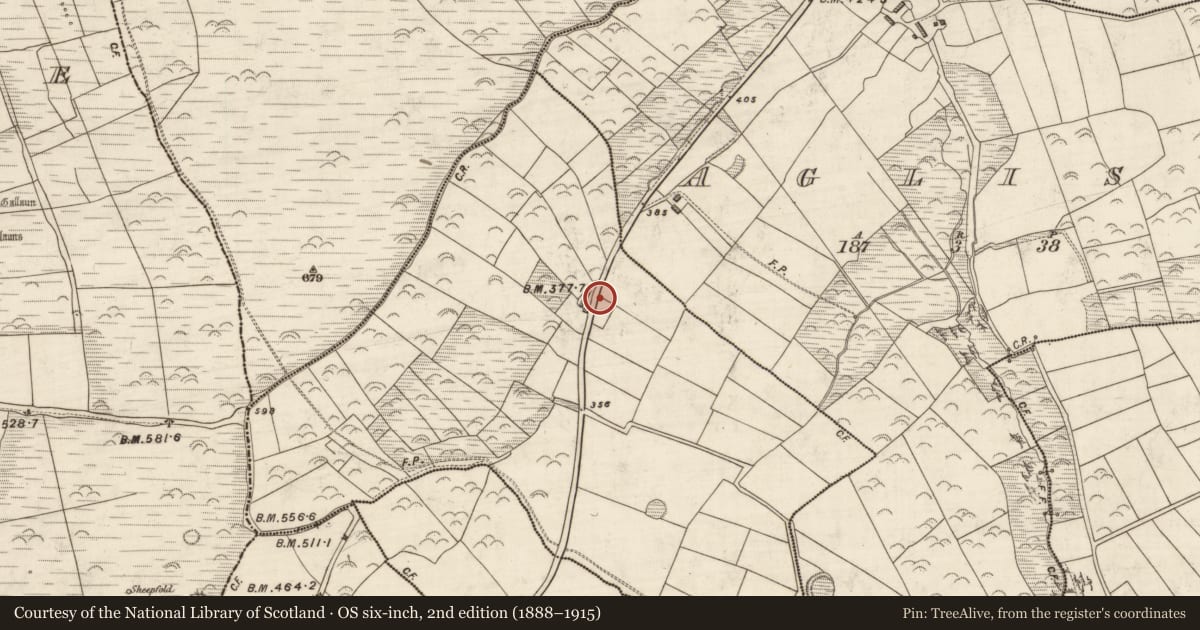 Ordnance Survey six-inch map, 2nd edition (1888–1915) covering the location of Souterrain, An Mhín Aird Thiar, County Kerry, with a pin at the register's coordinates