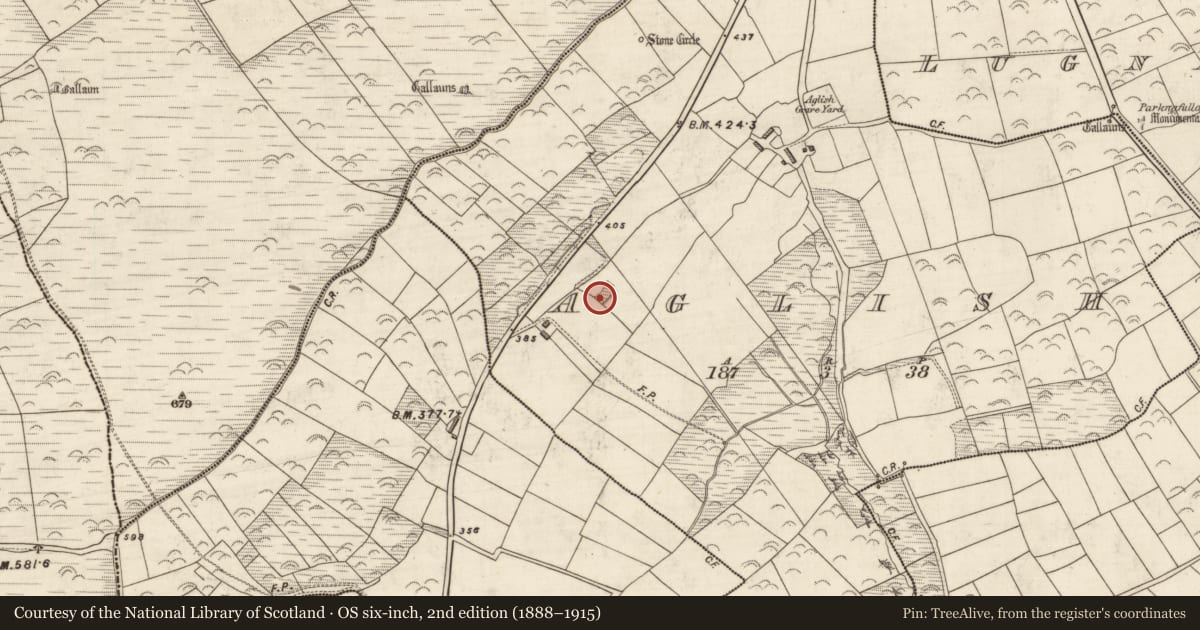 Ordnance Survey six-inch map, 2nd edition (1888–1915) covering the location of Ringfort - rath, An Eaglais (Corca Dhuibhne), County Kerry, with a pin at the register's coordinates