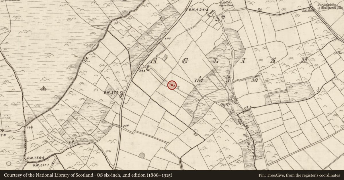Ordnance Survey six-inch map, 2nd edition (1888–1915) covering the location of Bullaun stone, An Eaglais (Corca Dhuibhne), County Kerry, with a pin at the register's coordinates