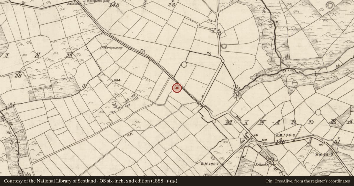 Ordnance Survey six-inch map, 2nd edition (1888–1915) covering the location of Ringfort - rath, Gleann Na Mine Airde, County Kerry, with a pin at the register's coordinates