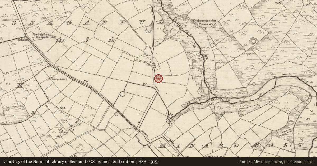 Ordnance Survey six-inch map, 2nd edition (1888–1915) covering the location of Ringfort - rath, Log Na Gcapall, County Kerry, with a pin at the register's coordinates