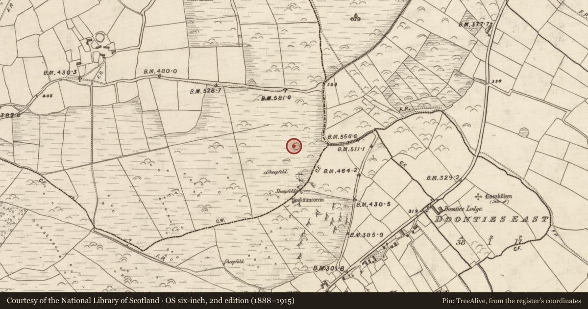 Ordnance Survey six-inch map, 2nd edition (1888–1915) covering the location of Ringfort - rath, Arda Mór (TC Cinn Aird), County Kerry, with a pin at the register's coordinates