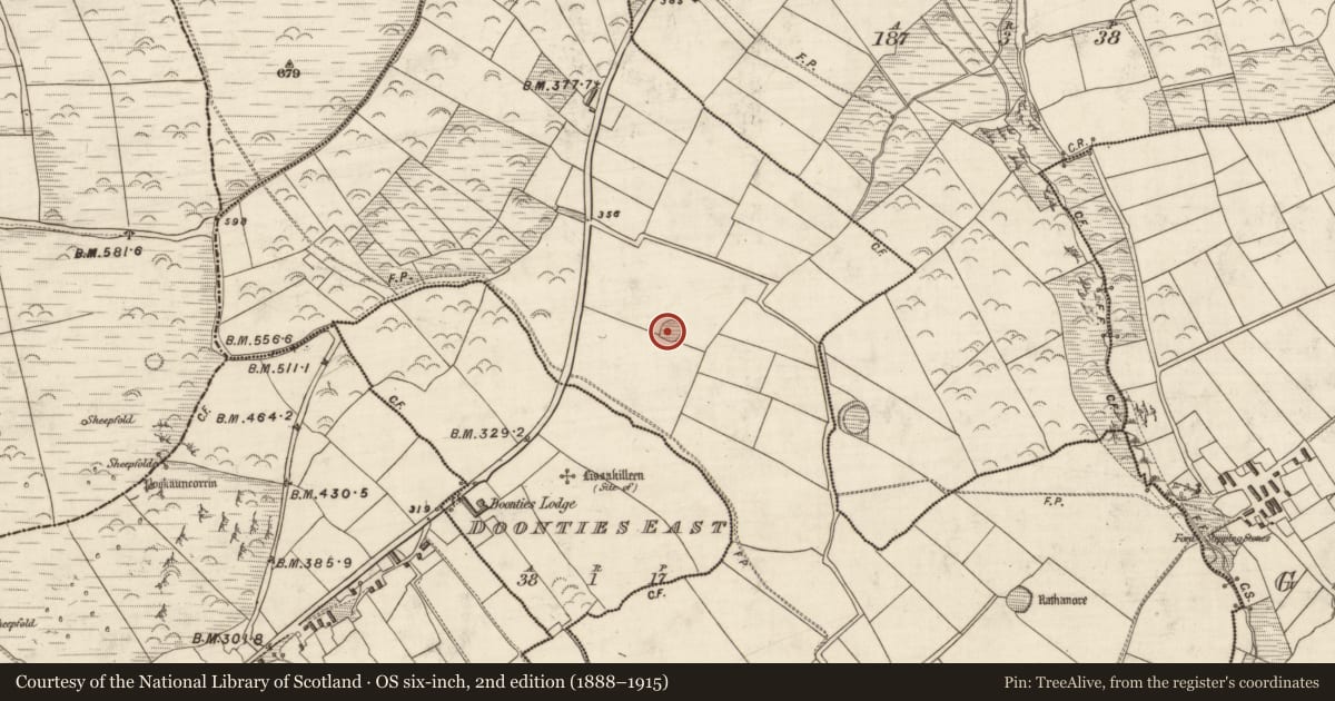 Ordnance Survey six-inch map, 2nd edition (1888–1915) covering the location of Ringfort - rath, An Mhín Aird Thiar, County Kerry, with a pin at the register's coordinates