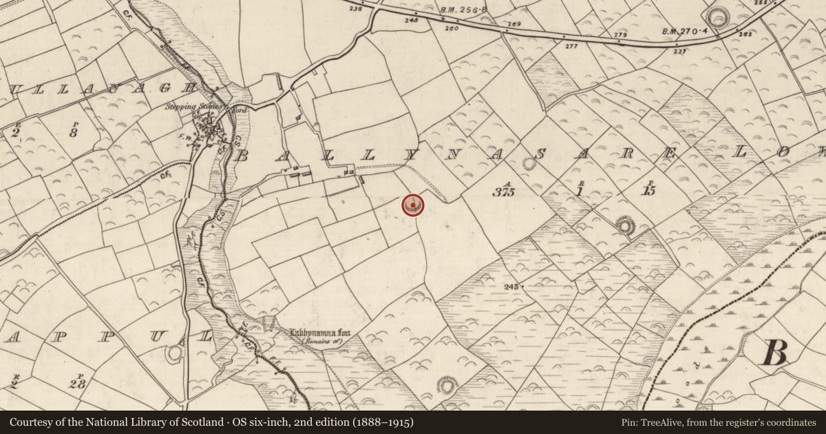 Ordnance Survey six-inch map, 2nd edition (1888–1915) covering the location of Ringfort - rath, Baile Na Saor Íochtarach, County Kerry, with a pin at the register's coordinates