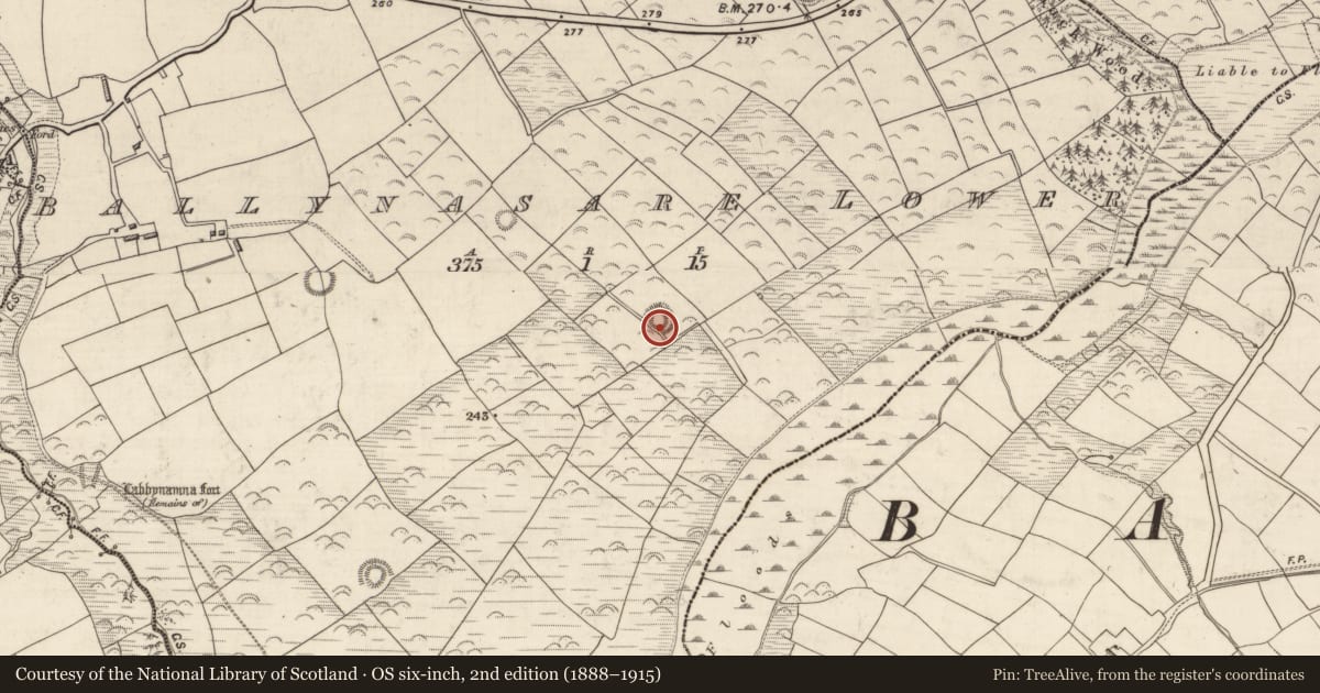 Ordnance Survey six-inch map, 2nd edition (1888–1915) covering the location of Ringfort - rath, Baile Na Saor Íochtarach, County Kerry, with a pin at the register's coordinates