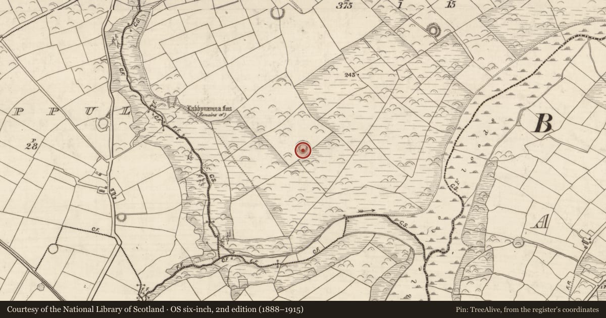 Ordnance Survey six-inch map, 2nd edition (1888–1915) covering the location of Ringfort - rath, Baile Na Saor Íochtarach, County Kerry, with a pin at the register's coordinates