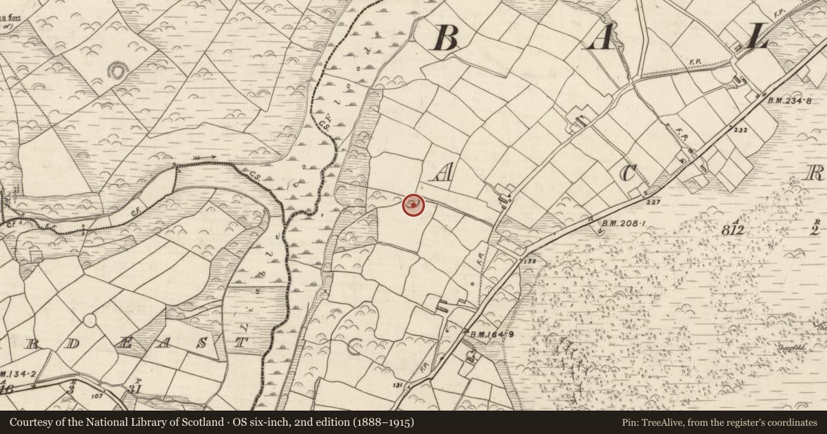 Ordnance Survey six-inch map, 2nd edition (1888–1915) covering the location of Ringfort - rath, Acres, County Kerry, with a pin at the register's coordinates