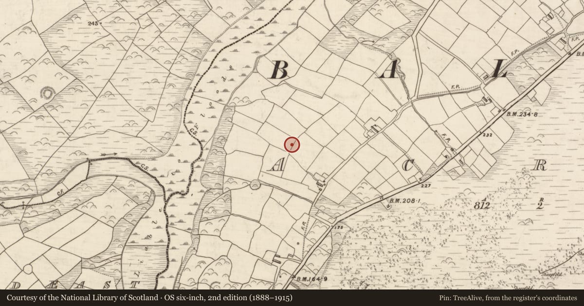 Ordnance Survey six-inch map, 2nd edition (1888–1915) covering the location of Cairn - unclassified, Acres, County Kerry, with a pin at the register's coordinates
