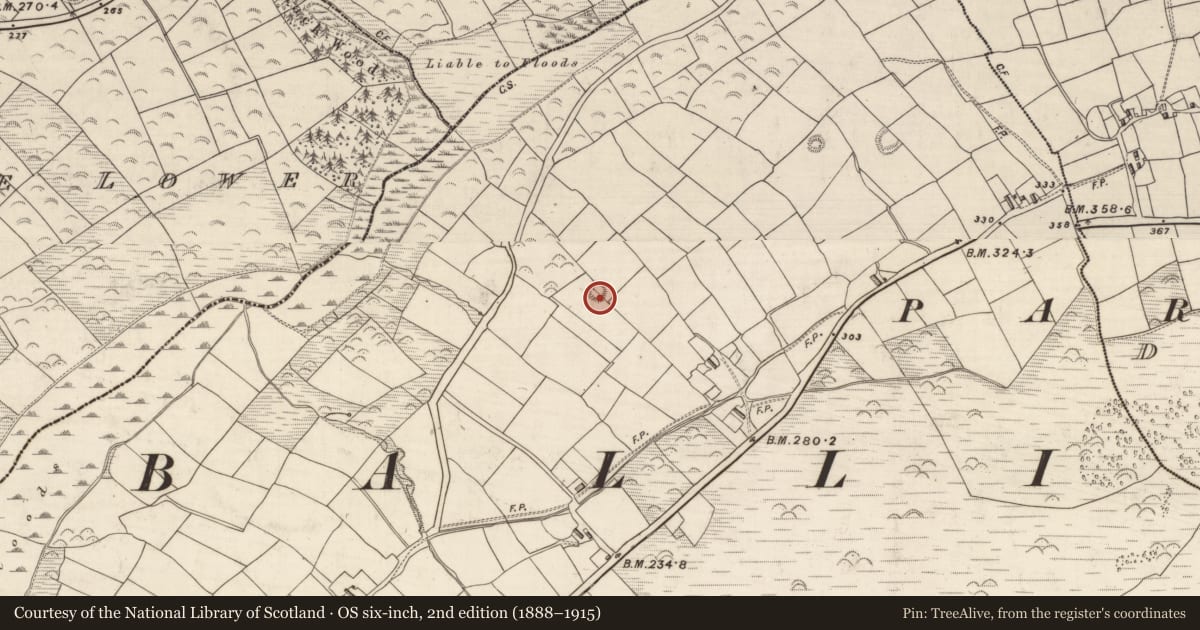 Ordnance Survey six-inch map, 2nd edition (1888–1915) covering the location of Ringfort - rath, Acres, County Kerry, with a pin at the register's coordinates