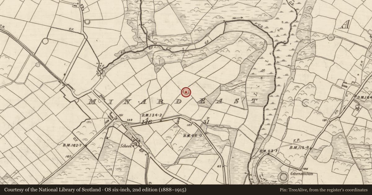 Ordnance Survey six-inch map, 2nd edition (1888–1915) covering the location of Ringfort - rath, An Mhín Aird Bhuí, County Kerry, with a pin at the register's coordinates