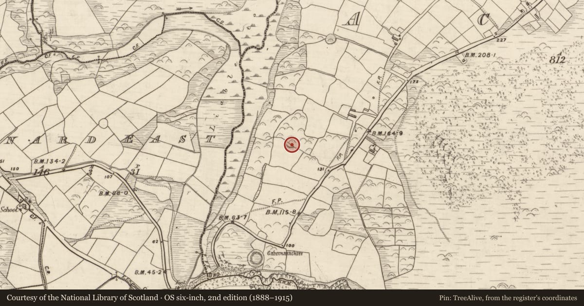 Ordnance Survey six-inch map, 2nd edition (1888–1915) covering the location of Ringfort - rath, Acres, County Kerry, with a pin at the register's coordinates