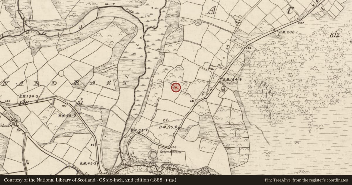 Ordnance Survey six-inch map, 2nd edition (1888–1915) covering the location of Structure, Acres, County Kerry, with a pin at the register's coordinates