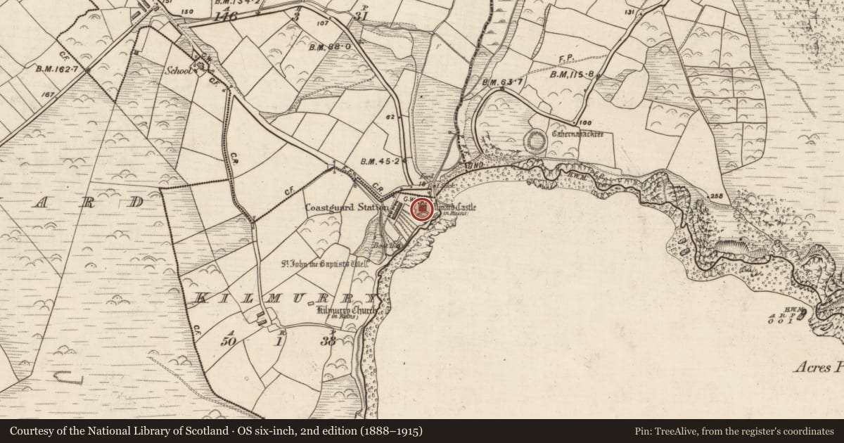 Ordnance Survey six-inch map, 2nd edition (1888–1915) covering the location of Castle - tower house, Cill Mhuire (TC An Mhín Aird), County Kerry, with a pin at the register's coordinates