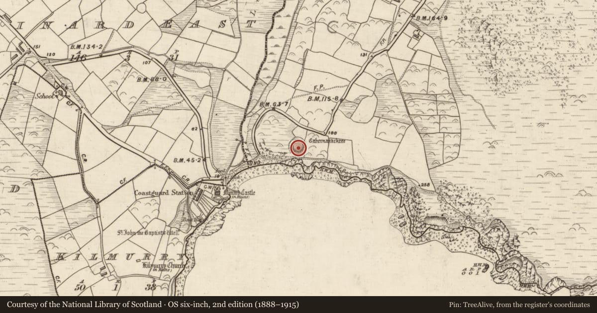 Ordnance Survey six-inch map, 2nd edition (1888–1915) covering the location of Ringfort - cashel, Acres, County Kerry, with a pin at the register's coordinates