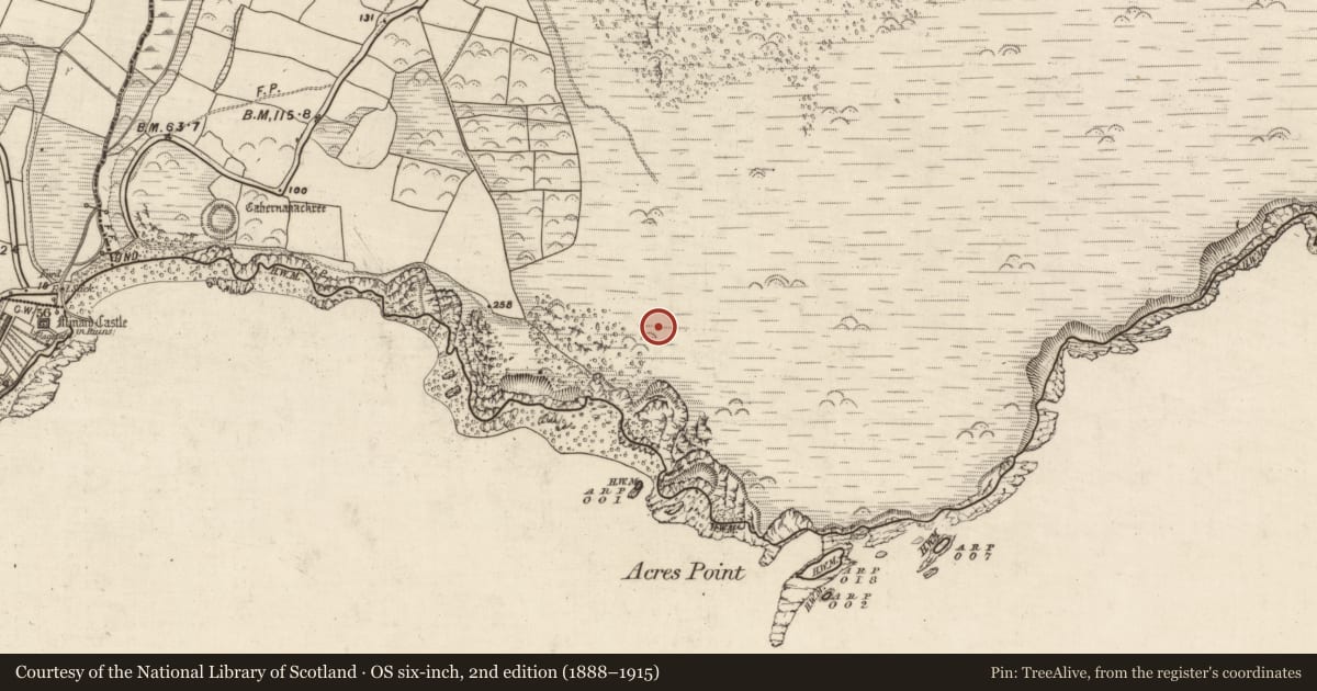 Ordnance Survey six-inch map, 2nd edition (1888–1915) covering the location of Hut site, Acres, County Kerry, with a pin at the register's coordinates