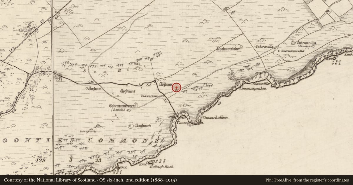 Ordnance Survey six-inch map, 2nd edition (1888–1915) covering the location of Hut site, Na Dúnta Thiar, County Kerry, with a pin at the register's coordinates