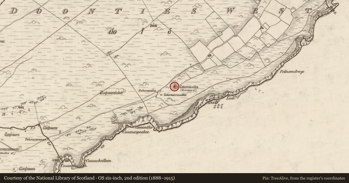 Ordnance Survey six-inch map, 2nd edition (1888–1915) covering the location of Hut site, Na Dúnta Thiar, County Kerry, with a pin at the register's coordinates
