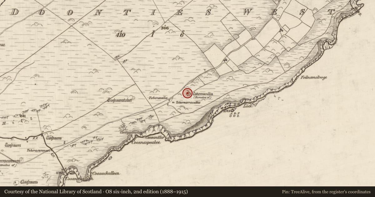 Ordnance Survey six-inch map, 2nd edition (1888–1915) covering the location of Hut site, Na Dúnta Thiar, County Kerry, with a pin at the register's coordinates