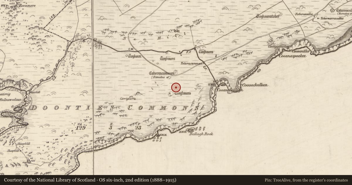 Ordnance Survey six-inch map, 2nd edition (1888–1915) covering the location of Hut site, An Coimín (TC An Mhín Aird), County Kerry, with a pin at the register's coordinates