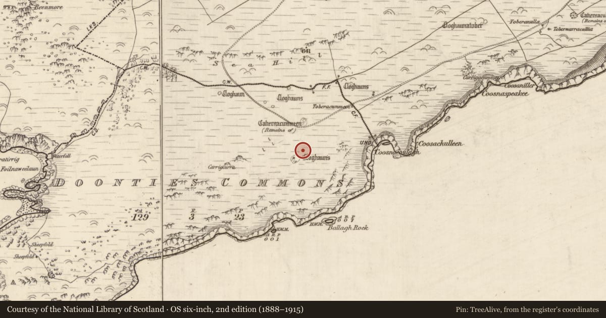 Ordnance Survey six-inch map, 2nd edition (1888–1915) covering the location of Hut site, An Coimín (TC An Mhín Aird), County Kerry, with a pin at the register's coordinates