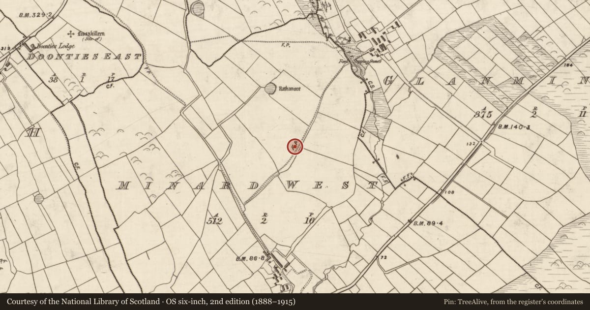 Ordnance Survey six-inch map, 2nd edition (1888–1915) covering the location of Standing stone - pair, An Mhín Aird Thiar, County Kerry, with a pin at the register's coordinates