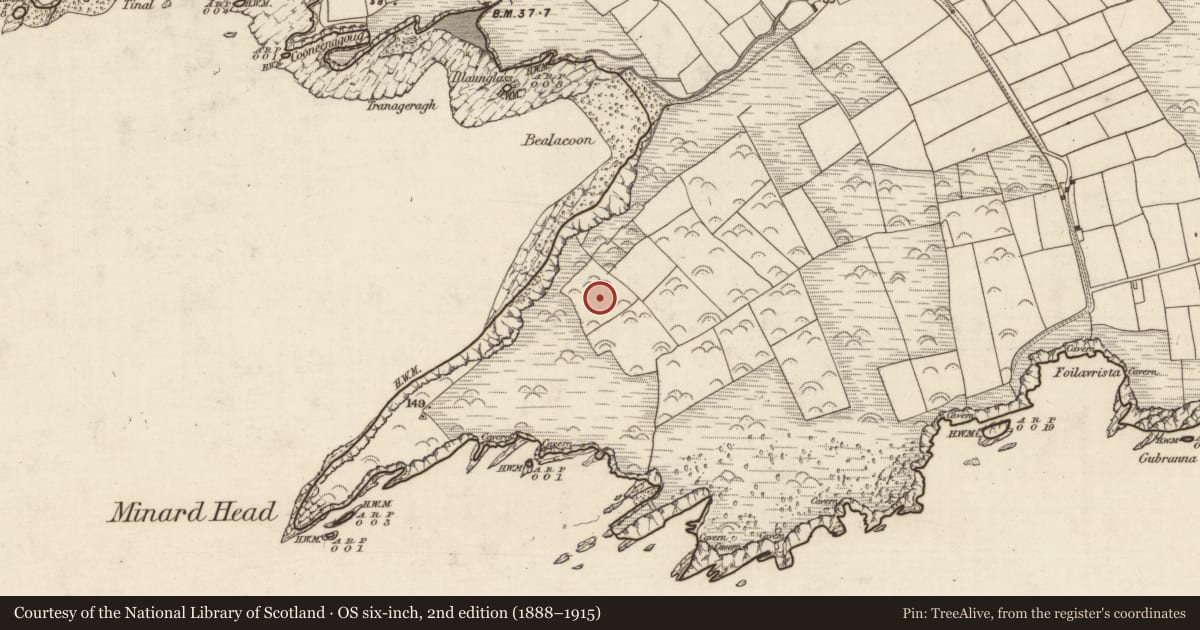 Ordnance Survey six-inch map, 2nd edition (1888–1915) covering the location of Souterrain, An Mhín Aird Thiar, County Kerry, with a pin at the register's coordinates