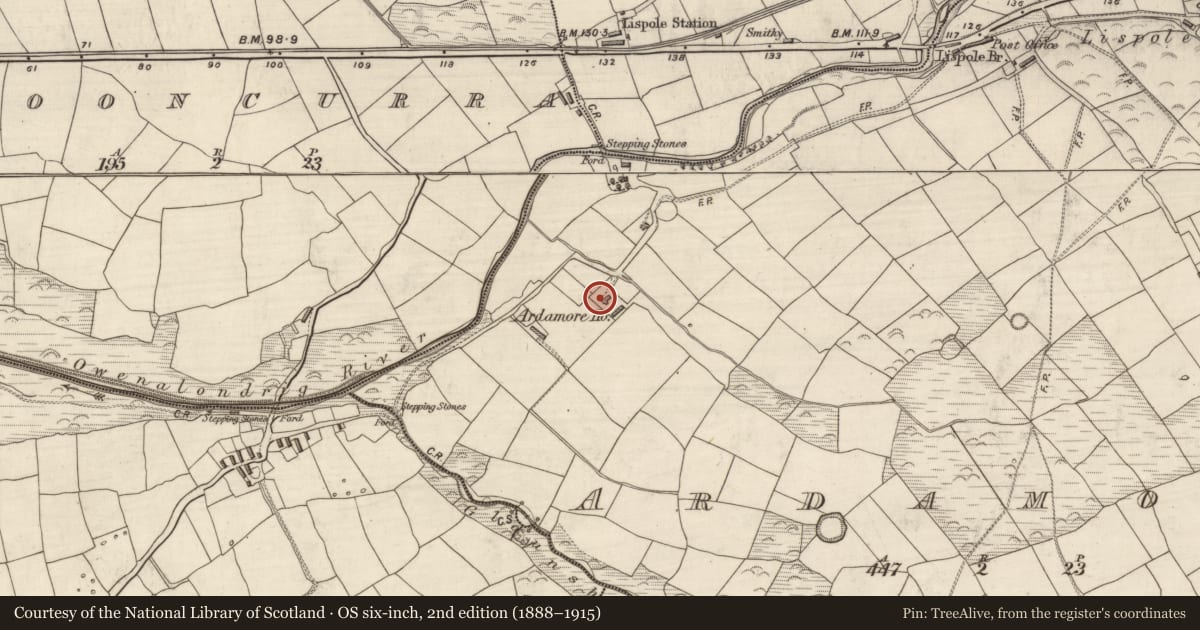 Ordnance Survey six-inch map, 2nd edition (1888–1915) covering the location of Country house, Arda Mór (TC Cinn Aird), County Kerry, with a pin at the register's coordinates