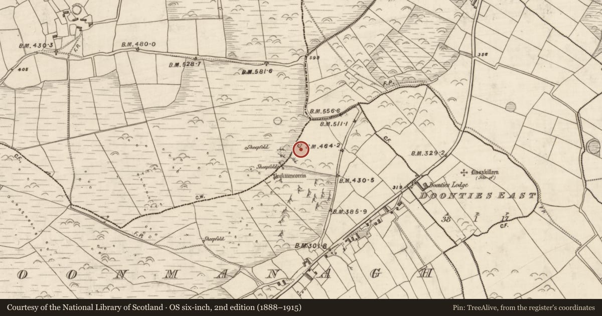 Ordnance Survey six-inch map, 2nd edition (1888–1915) covering the location of Megalithic tomb - unclassified, Dún Na Manach, County Kerry, with a pin at the register's coordinates