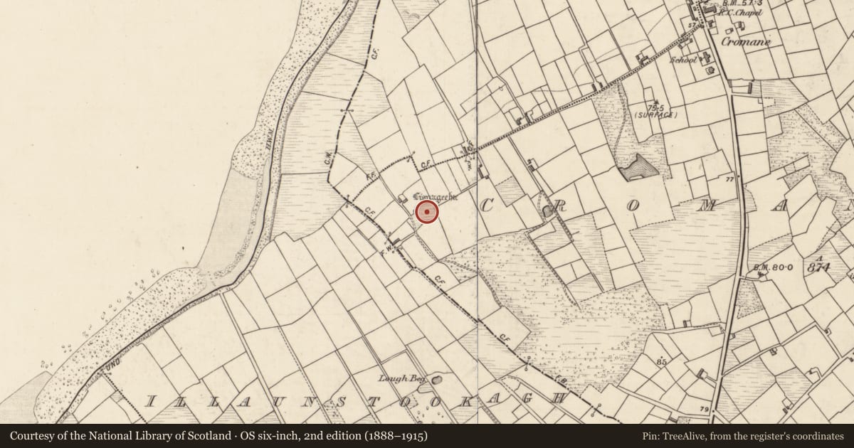 Ordnance Survey six-inch map, 2nd edition (1888–1915) covering the location of Ringfort - rath, Cromane Upper, County Kerry, with a pin at the register's coordinates