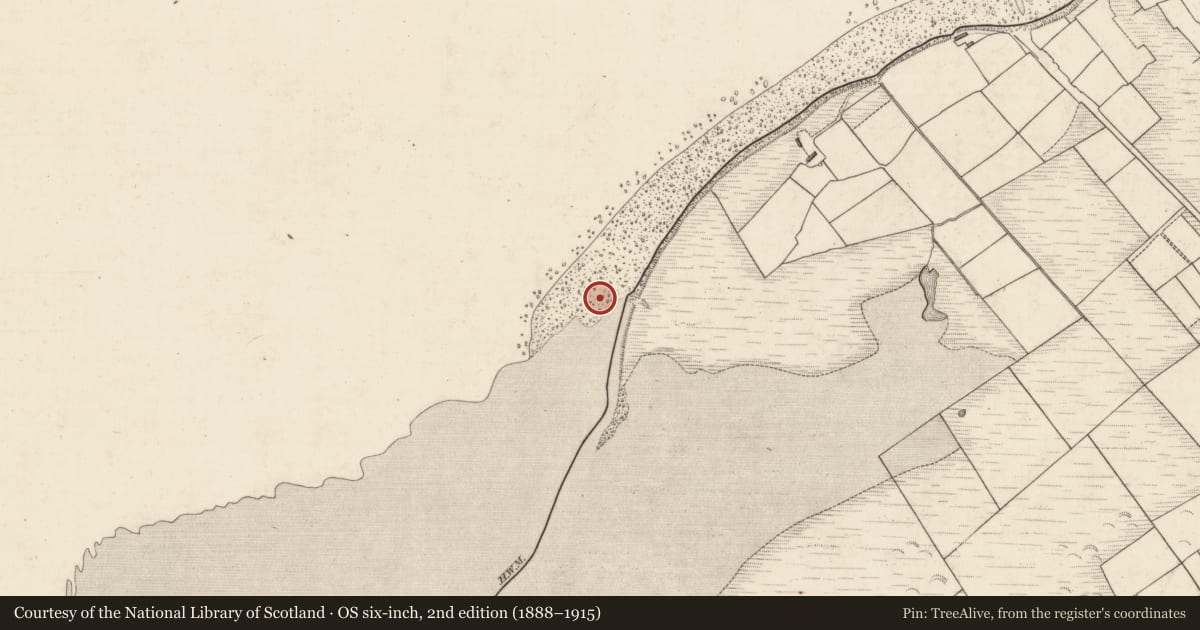 Ordnance Survey six-inch map, 2nd edition (1888–1915) covering the location of Midden, Dooaghs, County Kerry, with a pin at the register's coordinates